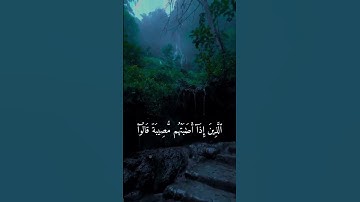 تلاوة سورة البقره بصوت الشهيد صالح الجعفراوي