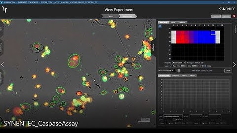SYNENTEC - High-throughhput Caspase 3/7 assay over time