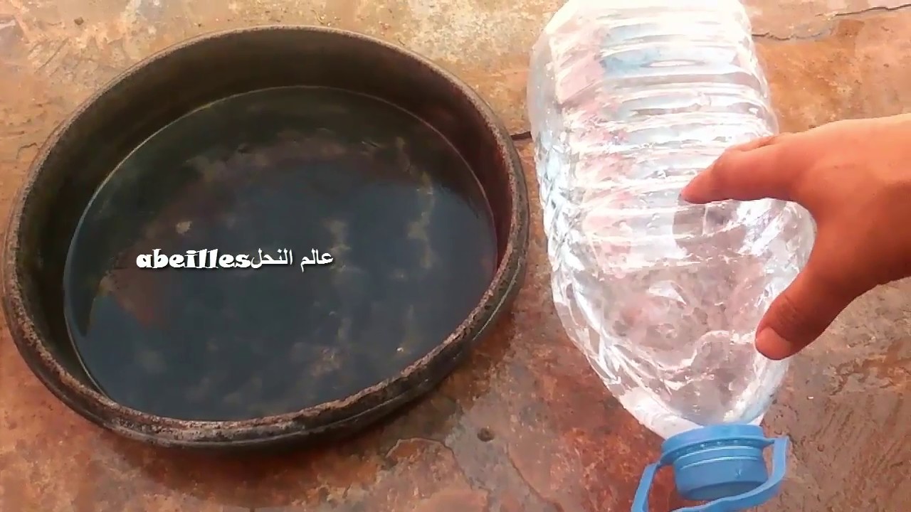 طريقة تقديم الماء للنحل Water For Bees