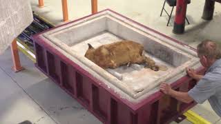 Pet Crematory