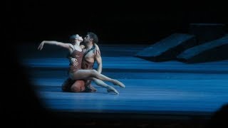 Maria Vinogradova &amp; Ivan Vasiliev - Spartacus Pdd - Bolshoi Feb 2014