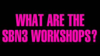 WHAT ARE THE SBN3 WORKSHOPS?