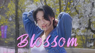 Blossom - 민지 (2022) l Cinematic Video l Panasonic Lumix S5 l S85mm F1.8 l Kenko Blackmist No.1