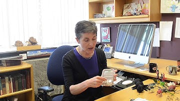 What Can Robots Learn from Ants?