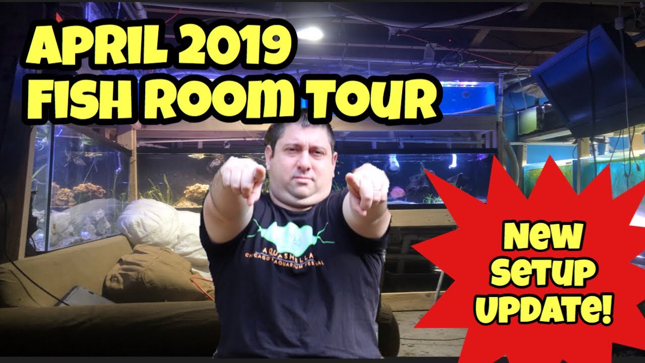 discus fish tank size April 2019 Fish Room Tour: Update on Fish room set up changes