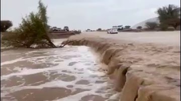 UAE NEWS❗️ SEVERE FLASH FLOODS