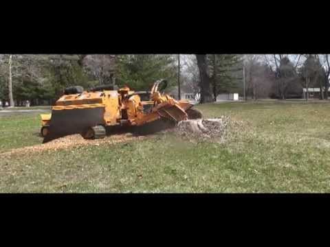001 Stump Grinding, Removal