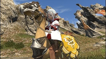 FFXIV: How to Promote Sergeant First Class To Chief Sergeant ( Grand Company Rank )