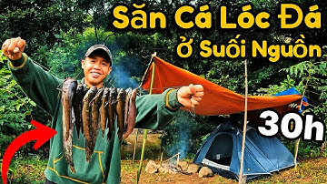 30h Săn Cá Lóc Đá Ở Suối Nguồn | Cắm Trại Sinh Tồn Ngủ Qua Đêm Trong Rừng Mưa