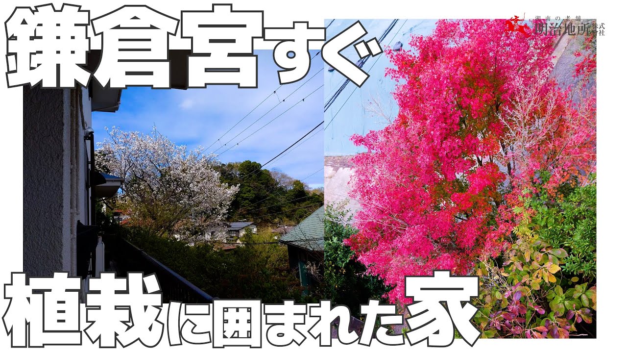 鎌倉宮にほど近い戸建てが出ました｜明治地所 牧野　鎌倉市二階堂の中古戸建て