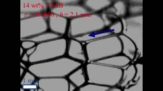 High speed collapse of a soap bubble film wall collapse