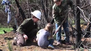 Communities For Healthy Forests - Kids Planting Trees