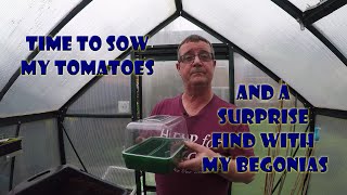 Tomato seed sowing and a surprise find with my Begonias by Wayne's Allotment 436 views 2 months ago 16 minutes