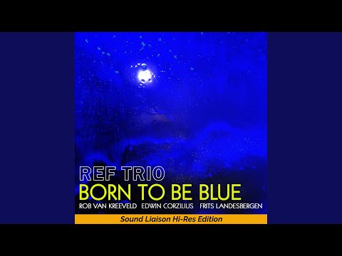 Hey Bear Sensory - Birthday Dance Party! - Dancing Fruit - Fun Animation and Upbeat Music!