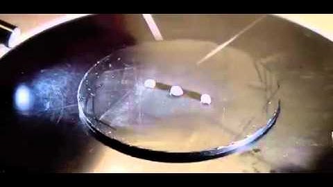 Imaging mouse embryo aorta - Video 5