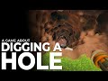 SIMULATORE di BUCHE IN GIARDINO - A Game About Digging A Hole
