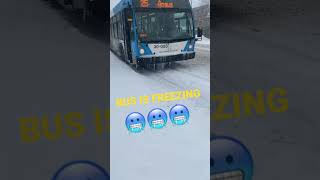 Freezing Bus