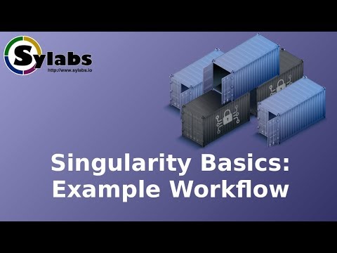 Singularity Example Workflow