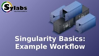 singularity example workflow