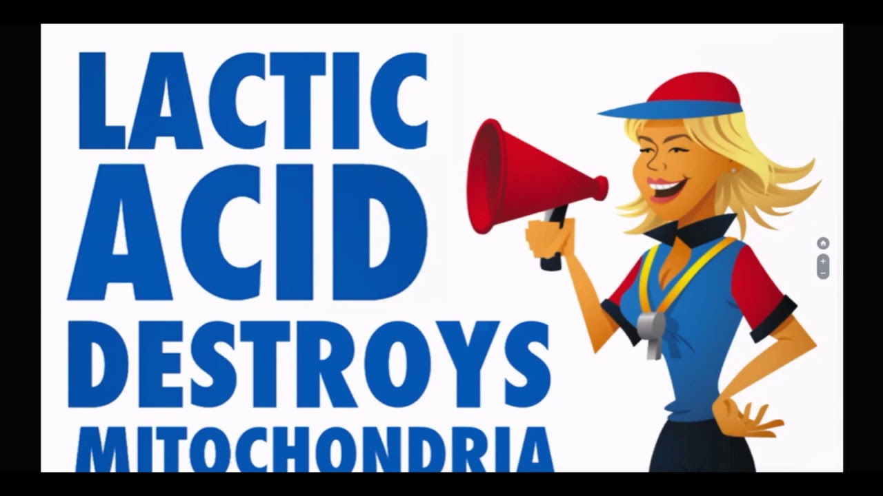 Polarised Training: Professor David Bishop