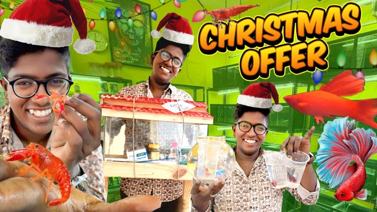 Christmas offer start pannitom ! Tirunelveli fish lovers ku oru tharamana gift 🎁 offer 