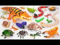 ZURU ROBO ALIVE COLLECTION | UNBOXING Robo Huge Crocodile, New Robo Snake creeper Compilation