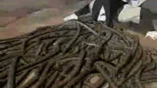 Naruto vs. Oroshimaru - The hell song (Sum 41).wmv