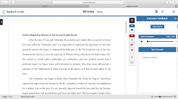 How to get feedback on TurnItIn Papers