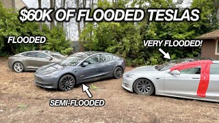 I Bought $60,000 In Flooded TESLAS at Auction. Let&#39;s Find Out If They Work!?