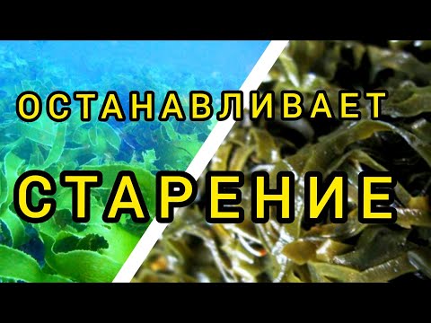 Видео: Какви са химичните свойства на захарта