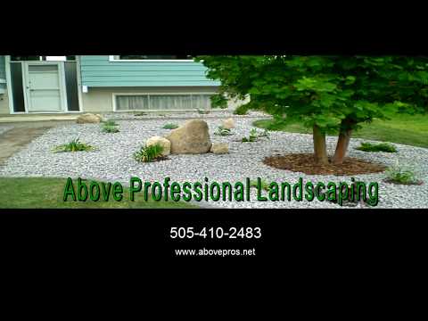 Are There Alot Of Landscapers In Albuquerque?