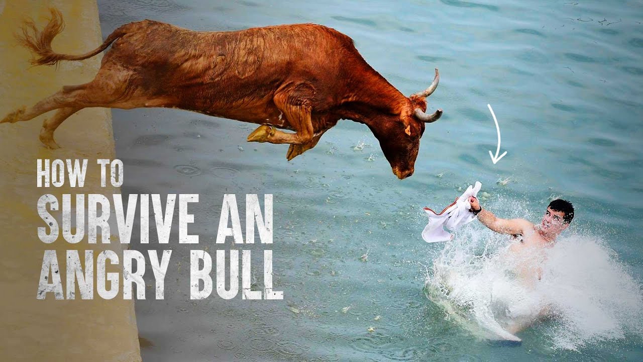 How Do You Stop A Bull From Charging