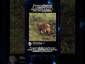 They Had One Job And Still Failed#animals #fail #meme 7