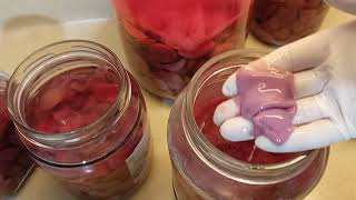 🍎Elma Si̇rkeleri̇ni̇n Hepsi̇ni̇ Süzdüm🍎 Resimi