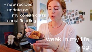 honest thoughts: my korean class, making korean food, seoul floods | a week of my life in korea vlog