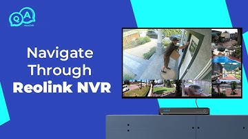 Navigate through the Reolink NVR — Reolink NVR Overview | You Ask, We Answer