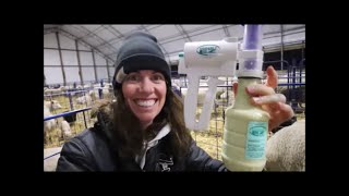 Download Lagu Udderly Ez Milker,  Sandi Brock, Endre Fink \u0026 Buck Wheeler MP3