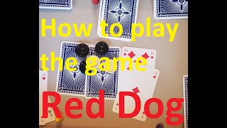 How to play the game "Red Dog" screenshot 2
