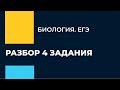 ЕГЭ по Биологии. Разбор 4 задания