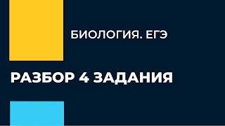 ЕГЭ по Биологии. Разбор 4 задания