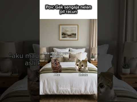 DIA MUNTAH DONG 😭 #memecing #memes #catmemes #memecat #kucing #cat