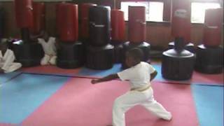 Triple Cities Martial Arts Tiny Tigers