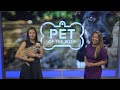 Meet Tiny, Grand Companion's Pet of the Week