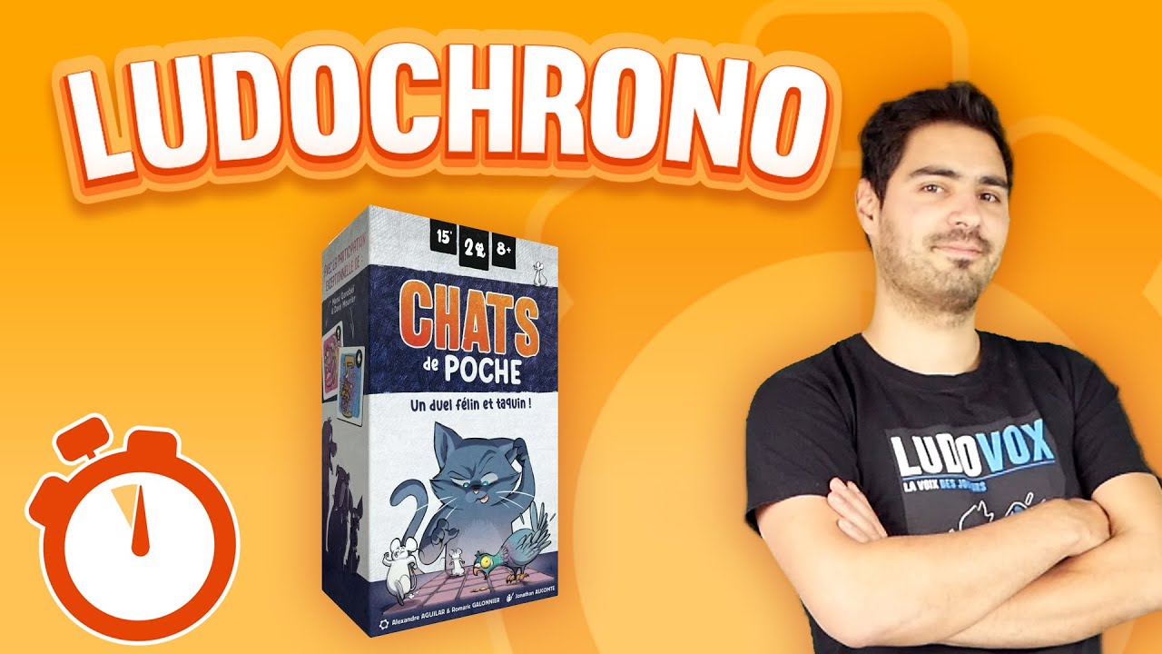 Jeu D'adresse De Poche Vintage - Billes Et Chat - Jouet Ancien