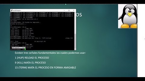 Comandos basicos de linux para sobrevivir en Asterisk - video 3