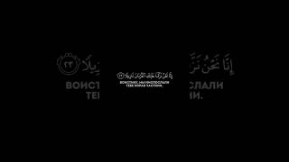 Сура 76 Аль-Инсан (21-26)Арби аш-Шишани #ислам#напоминание #коран#знания#истина#islam#quran#true