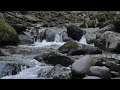 Water sound effect river side vibes exploring nature