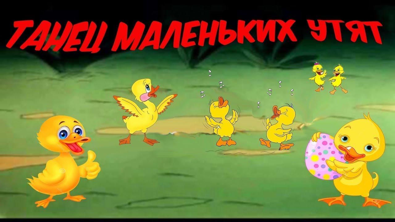 Песня маленькие дети видео. Танец маленьких утят. Танец маленьких акулят. Танцующие утята. Песенка про утят.