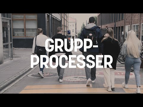 Grupprocesser