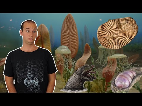 Video: Quali Creature Vivevano Sulla Terra Prima Del Diluvio? Le Chimere Possono Essere Reali? - Visualizzazione Alternativa